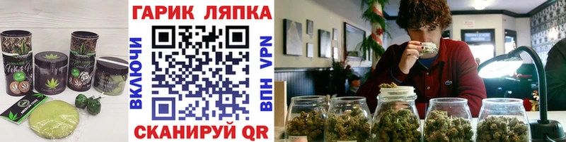 закладка  Талдом  Canna-Cookies марихуана 
