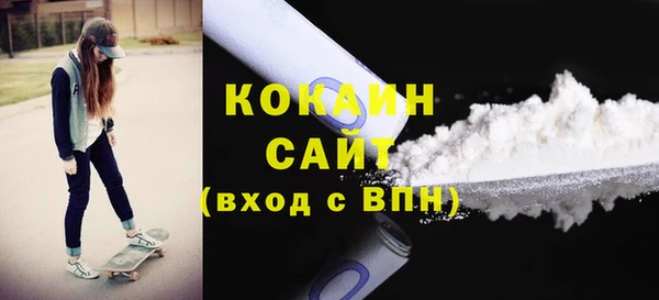 стаф Аркадак