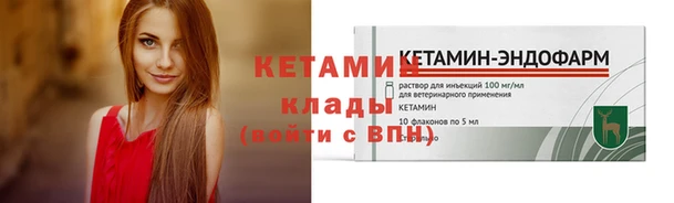 стаф Аркадак