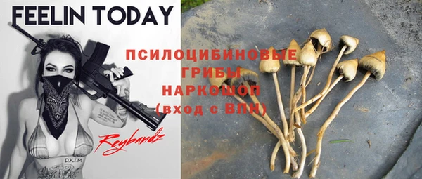 прущие грибы Покачи