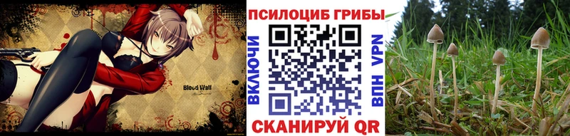Галлюциногенные грибы GOLDEN TEACHER  закладки  Талдом 